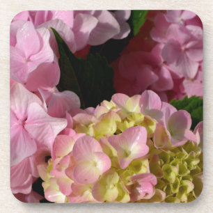 Pink Cream Hydrangeas yellow pink green floral Coaster