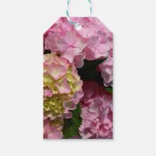 Pink Cream Hydrangeas yellow pink green floral  Gift Tags