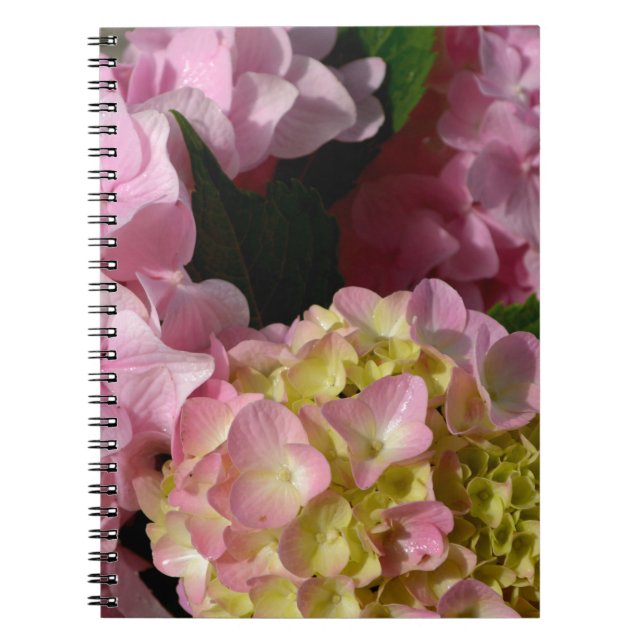 Pink Cream Hydrangeas yellow pink green floral  Spiral Notebook (Front)