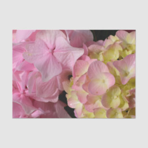 Pink Cream Hydrangeas yellow pink green floral Tissue Paper