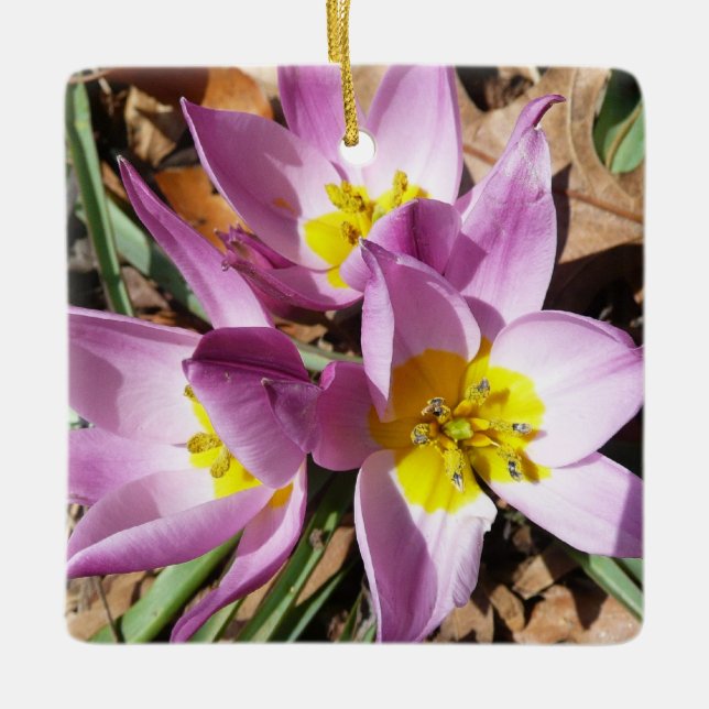 Pink Crocuses Spring Floral Ceramic Ornament (Front)