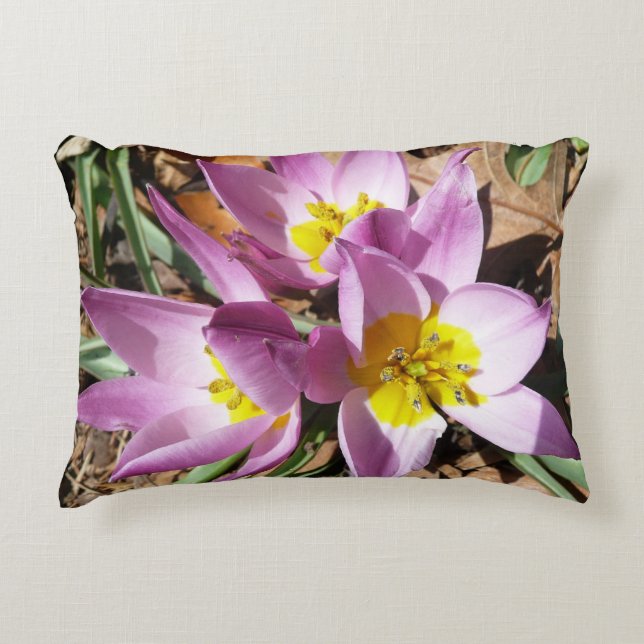 Pink Crocuses Spring Floral Decorative Cushion (Front)