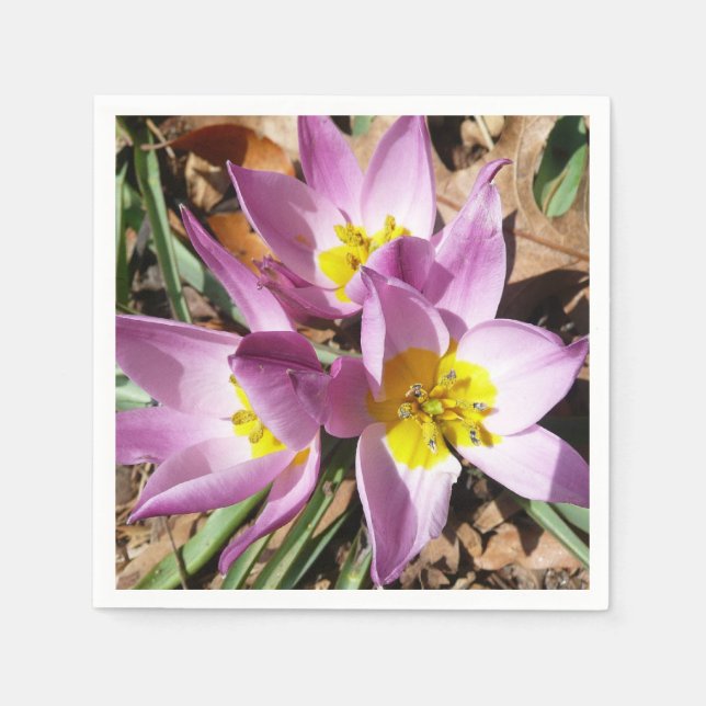Pink Crocuses Spring Floral Napkin (Front)