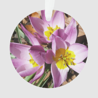 Pink Crocuses Spring Floral Ornament