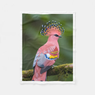 Pink Crowned Exotic Bird Blanket