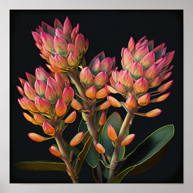 Pink Curcuma Flower Art Print Poster (Front)