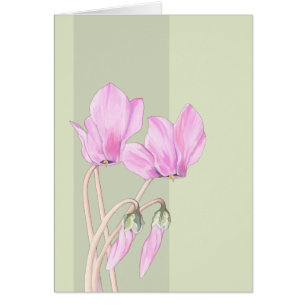 Pink Cyclamens green Card