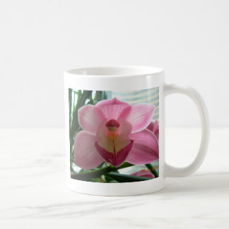 pink cymbidium coffee mug