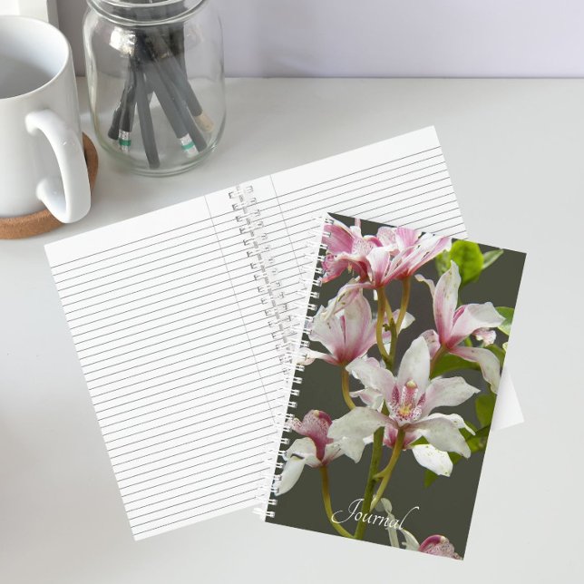 Pink Cymbidium Insigne Orchids Floral Notebook (In Situ)