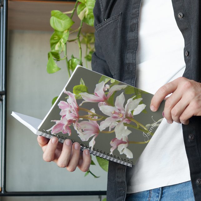 Pink Cymbidium Insigne Orchids Floral Notebook (In Situ)