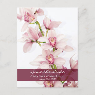 Pink Cymbidium Orchid Wedding Save the Date Announcement Postcard