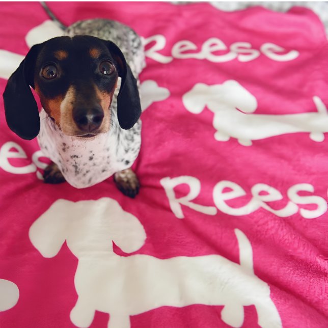 Pink Dachshund Wiener Dog Blanket Customise Name (Personalized dachshund blanket - add your doxies name and favorite color)