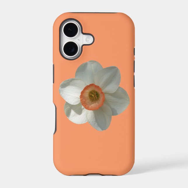 Pink Daffodil Spring Flower (Back)