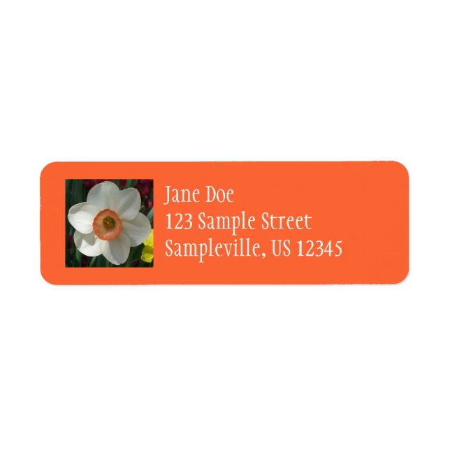 Pink Daffodil Spring Flower (Front)