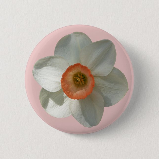 Pink Daffodil Spring Flower 6 Cm Round Badge (Front)