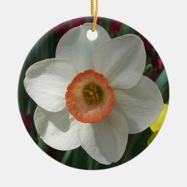 Pink Daffodil Spring Flower Ceramic Tree Decoration (Front)