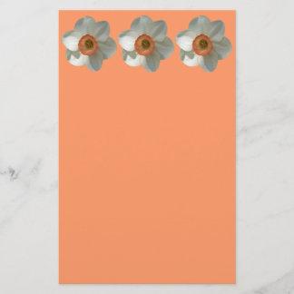 Pink Daffodil Spring Flower Stationery
