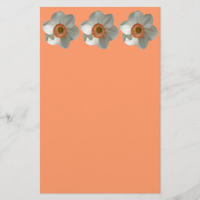 Pink Daffodil Spring Flower Stationery (Front)