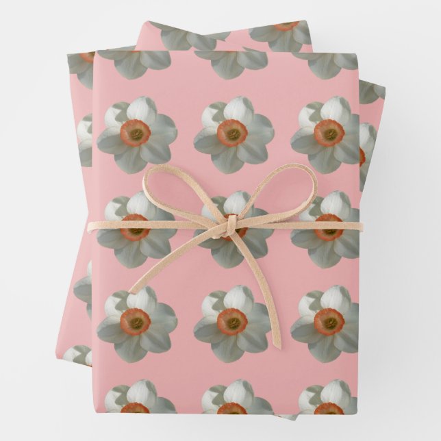 Pink Daffodil Spring Flower Wrapping Paper Sheet (In situ)