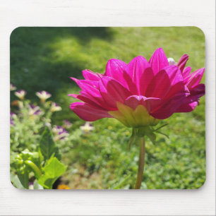 Pink Dahila Mouse Pad