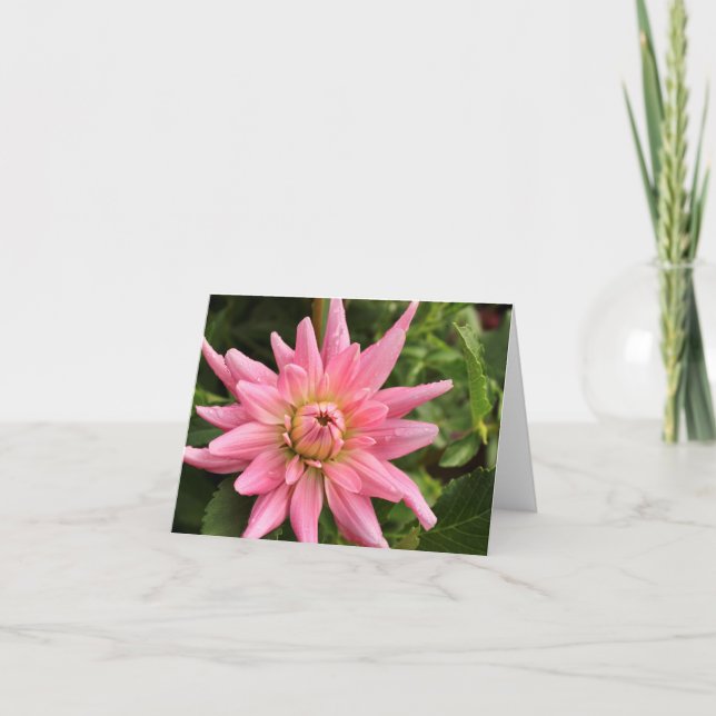 Pink Dahlia 4x6 Note Card (Front)