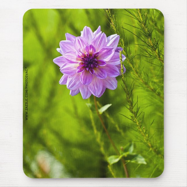 Pink Dahlia, Aquarell Effect Mousepad (Front)