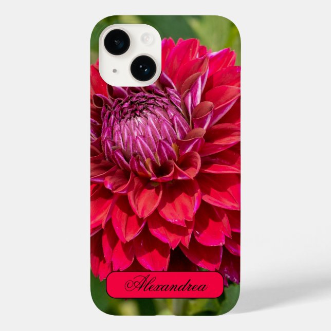 Pink Dahlia, Beautiful Flower Photography Case-Mate iPhone Case (Back)