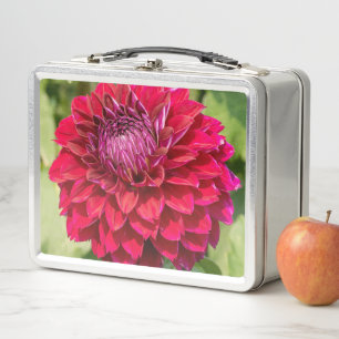 Pink Dahlia, Beautiful Flower Photography Metal Lunch Box