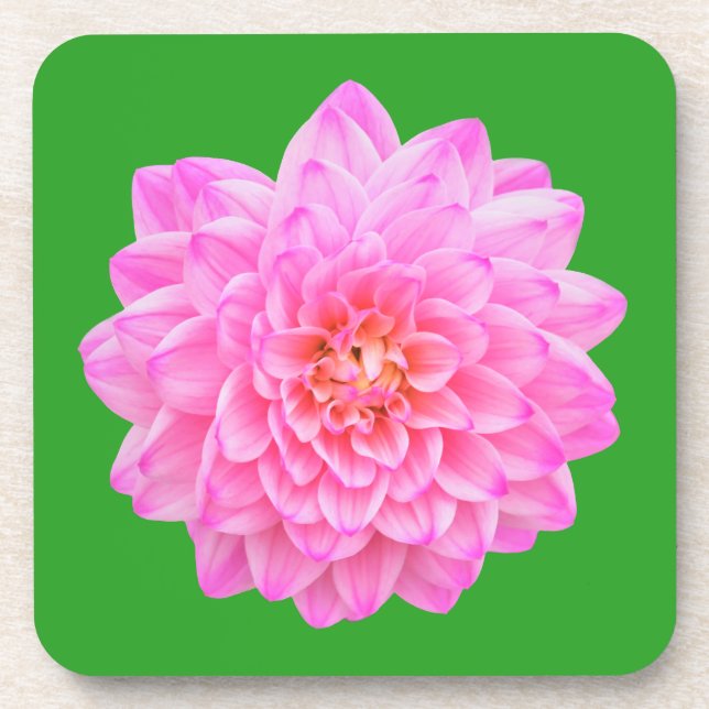 Pink Dahlia beverage coaster by Jo Images  (Front)
