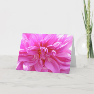 Pink Dahlia Blank Floral Card