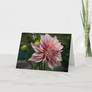 Pink Dahlia Blank Greeting Card