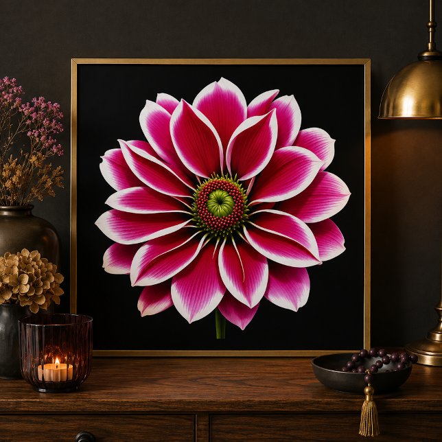 Pink Dahlia Bloom Fine Art Print (Creator Uploaded)
