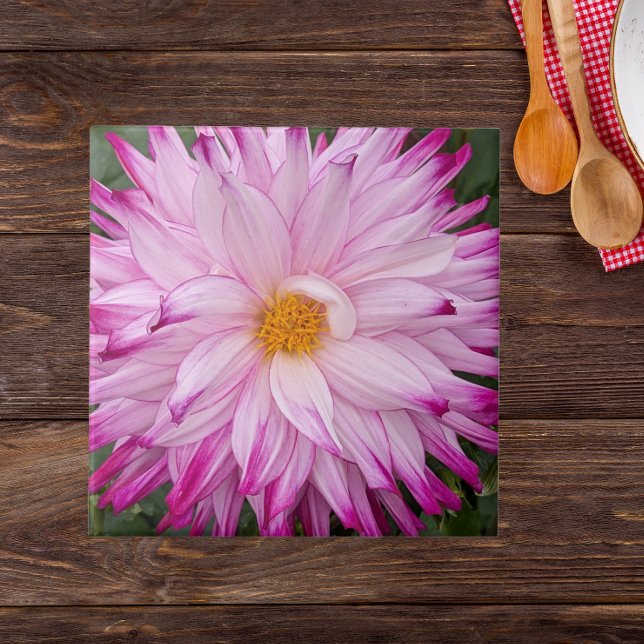 Pink Dahlia Bloom Floral Tile (In Situ)