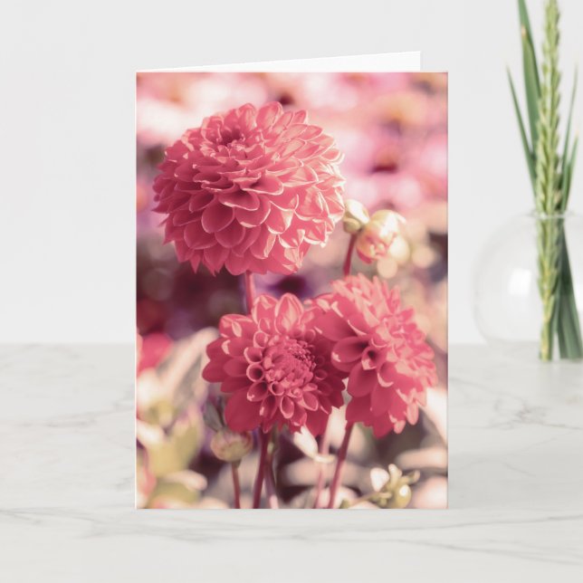 Pink Dahlia Blooms Note  Card (Front)