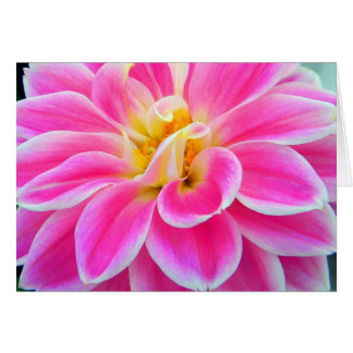 Pink Dahlia Card