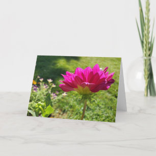 Pink Dahlia Card