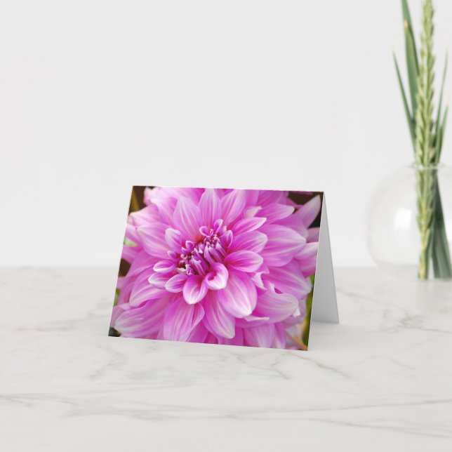 Pink Dahlia Card (Front)