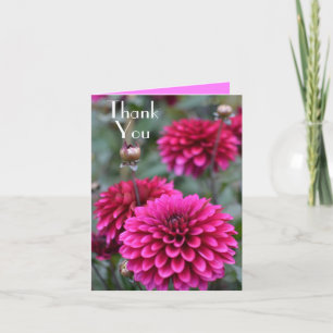 Pink Dahlia Floral Photograph Thank You Greeting Note Card