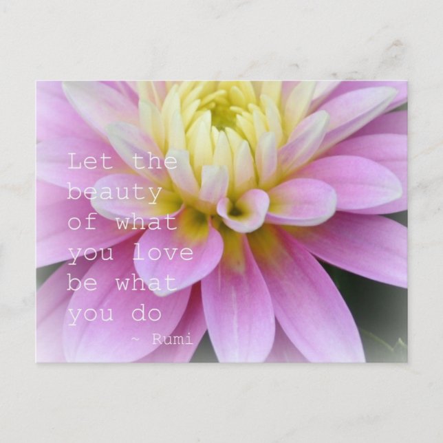 Pink Dahlia Flower Postcard (Front)