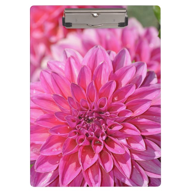 Pink dahlia flower print clipboard (Front)