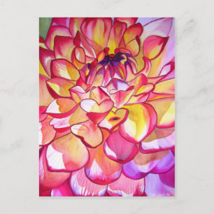 Pink Dahlia flower watercolour fine art Postcard