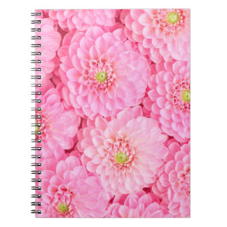 Pink dahlia flowers background. Top view.  Notebook