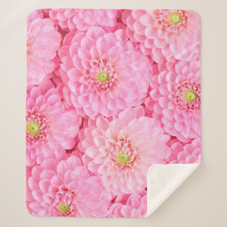 Pink dahlia flowers background. Top view.  Sherpa Blanket