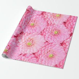 Pink dahlia flowers background. Top view. Wrapping Paper
