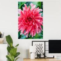 Pink Dahlia Photography, Canadian Beauty