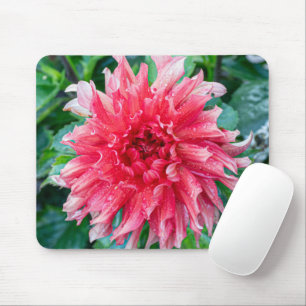 Pink Dahlia Photography, Canadian Flower Mouse Pad