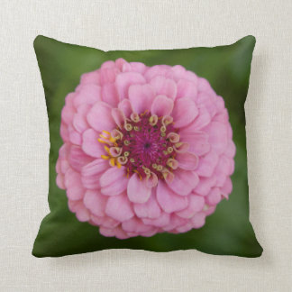 Pink Dahlia Pillow