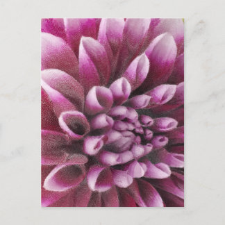 Pink Dahlia Postcard