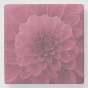 Pink Dahlia Stone Coaster