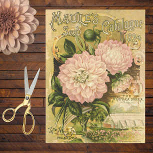 Pink Dahlia Vintage 1894 Floral Seed Catalogue Tissue Paper